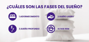 cuáles son las fases del sueño